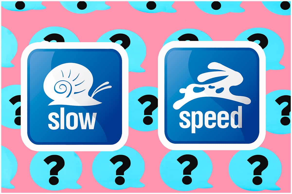 a image of a snail and a hare speed test